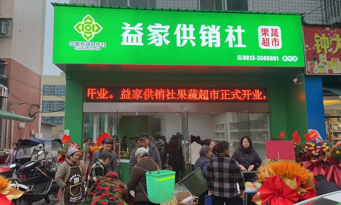 1764665637458020305.png 1764665637458020305.png