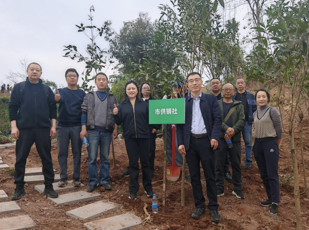 1773652853706017702.png 1773652853706017702.png