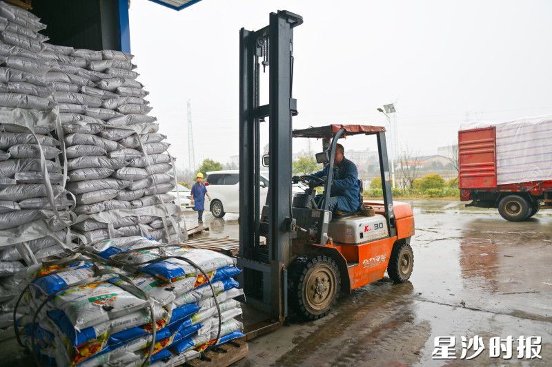 叉车往来作业,忙着将化肥装车外运。均为刘思源 摄