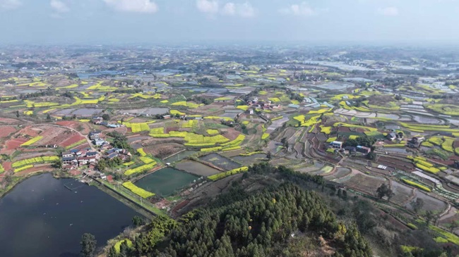 鼎新镇。徐振宇供图