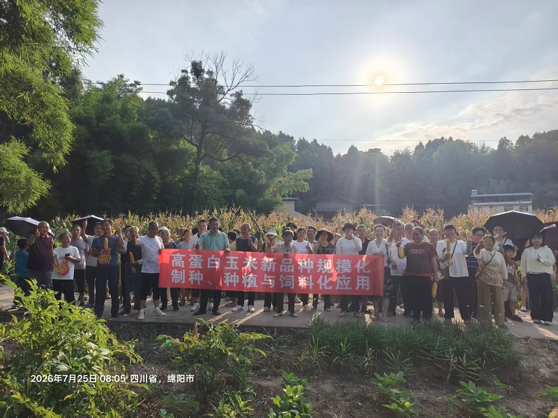 67D42909@D17DD577.6316676A00000000.jpg