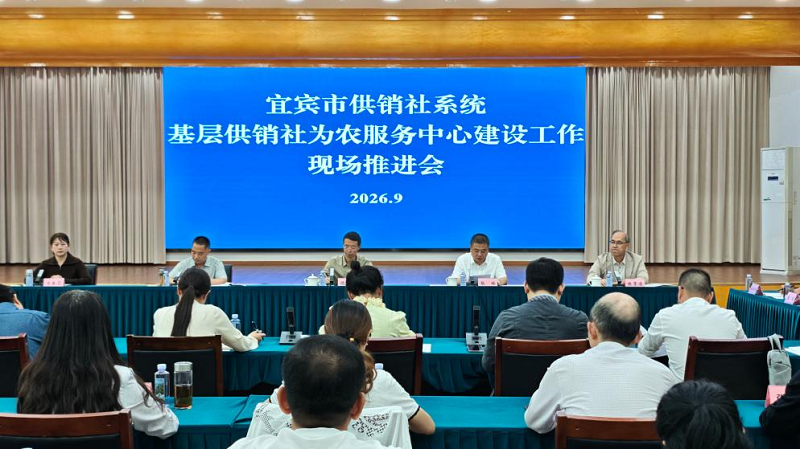 1789895502196066359.png 图片1.png